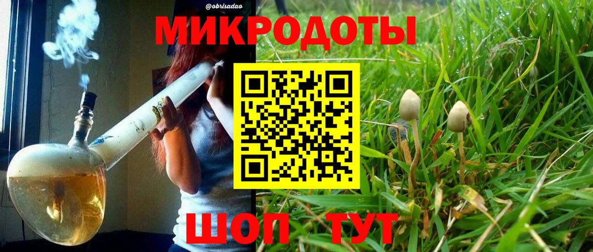 Псилоцибиновые грибы прущие грибы Хабаровск