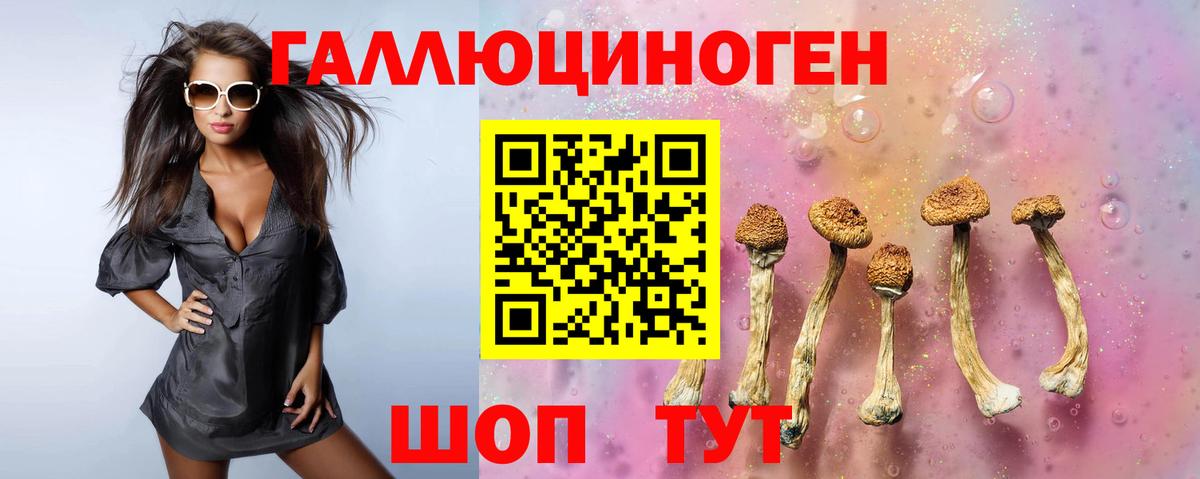 продажа наркотиков  Галлюциногенные грибы Psilocybine cubensis  Галлюциногенные грибы Psilocybe  Вход с VPN  Хабаровск 